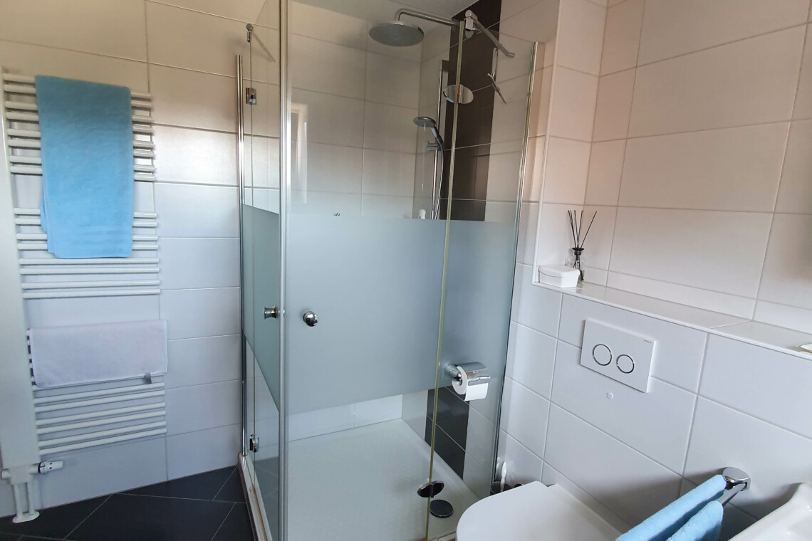 Dusche und Toilette im Bad 1