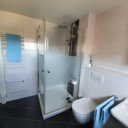 Dusche und Toilette im Bad 1